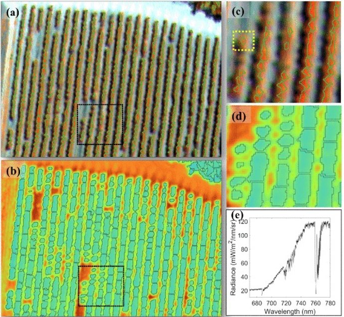 Estudio que utiliza tecnología subnanométrica y termografía para detectar variaciones fisiológicas.
