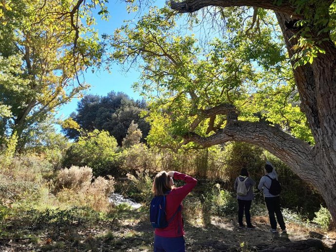 Actividad del programa ambiental.