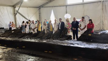 Es Andalucía - Cádiz