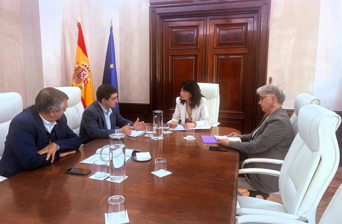 Francisco Reyes (2i) y Ana Redondo (c) en la reunión entre Famsi y el Ministerio de Igualdad.