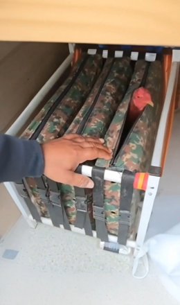 La Guardia Civil de Gipuzkoa intercepta en una furgoneta que se dirigía de Cantabria a Francia 10 gallos de pelea