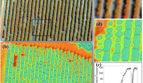 notibrasil sociedade