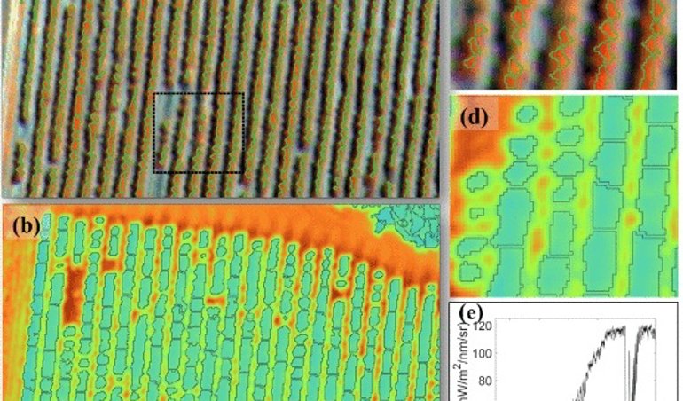 notibrasil sociedade