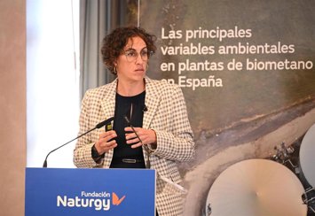 El desarrollo del biometano en España exige "rigor ambiental, regulación y planificación", según Naturgy.