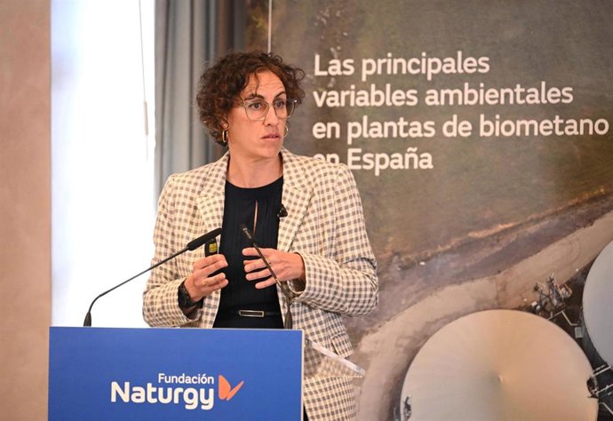 El desarrollo del biometano en España exige "rigor ambiental, regulación y planificación", según Naturgy.