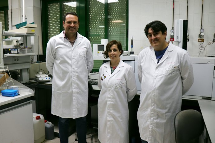 Feliciano Priego, Mónica Calderón y Carlos Ledesma, autores del trabajo.