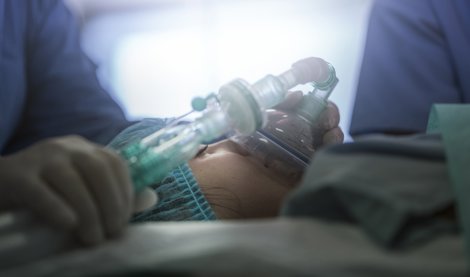 notibrasil sociedade