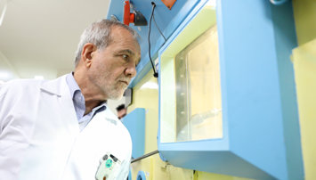 notibrasil política