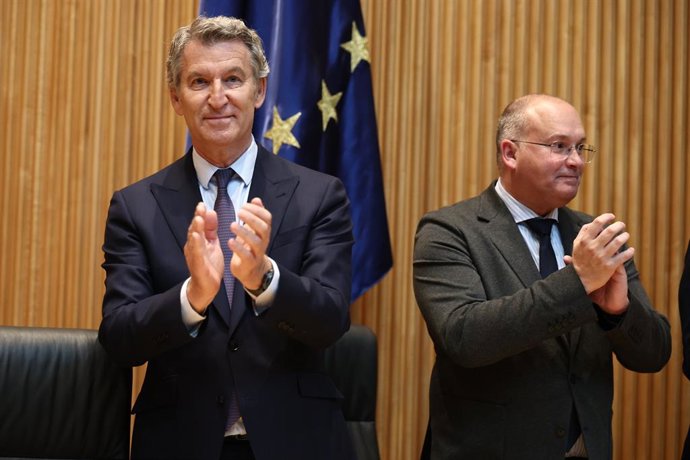 O presidente do Partido Popular, Alberto Núñez Feijóo (à esquerda), e o secretário-geral do PP, Miguel Tellado (à direita), durante a reunião plenária dos Grupos Parlamentares do Partido Popular do Congresso e do Senado, na Câmara dos Deputados, no dia 14