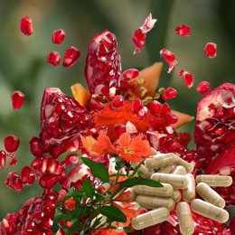 Extracto de granada con alto contenido en punicalagina