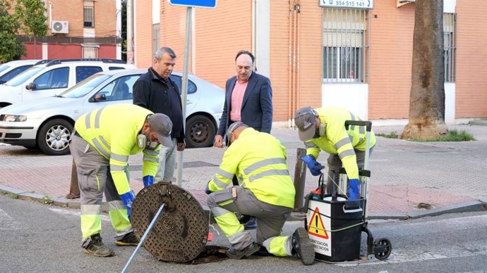 Nueva fase de refuerzo del servicio de desratización y control de plagas en Sevilla.