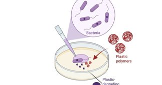 notibrasil sociedade
