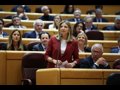 El PP concluye la investigación del Senado sobre el apagón: culpa a Teresa Ribera, Aagesen, Beatriz Corredor y la CNMC
