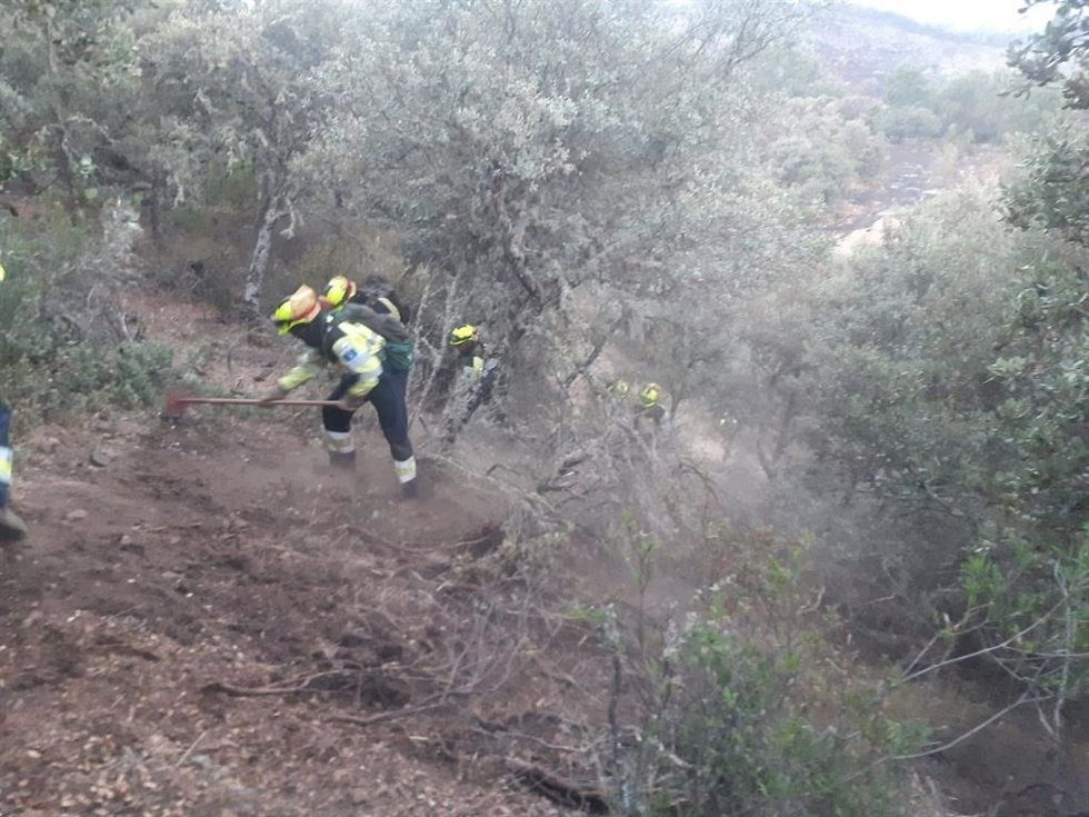 Archivo - Labores de extinción de un incendio forestal.