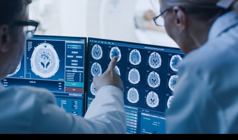 notibrasil sociedade