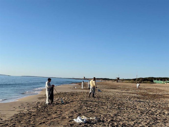 Limpieza desde la Xanga hasta playa d'en Bossa tras el hundimiento de un yate