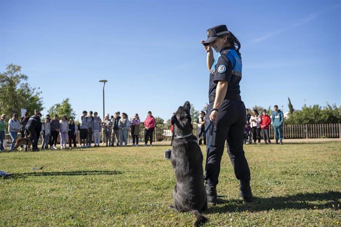 Juegos y actividades de terapia con caballos y perros destinadas a estudiantes con necesidades especiales, en el programa Aula Vitaminas, desarrolladas en Mairena.