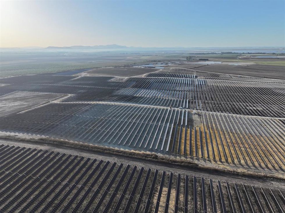 Planta fotovoltaica de Naturgy en la provincia de Sevilla.