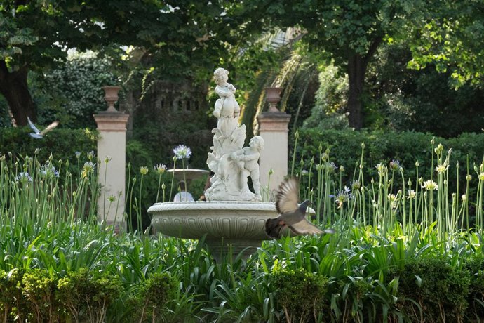 Archivo - Imatge d'uns coloms en un parc de Barcelona