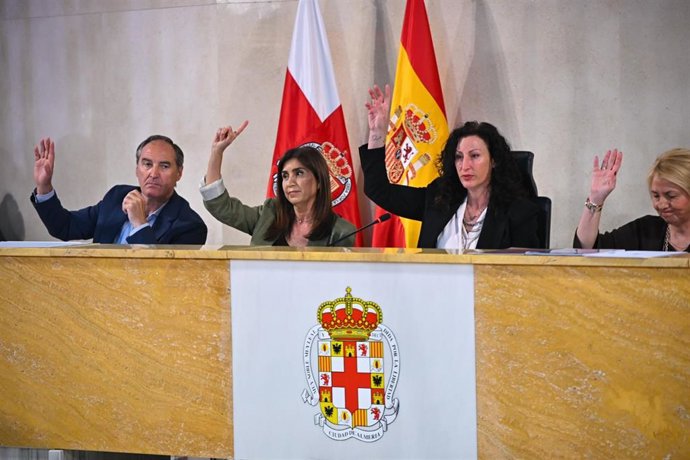 Votación en el Pleno del Ayuntamiento de Almería.
