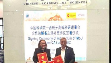 notibrasil sociedade