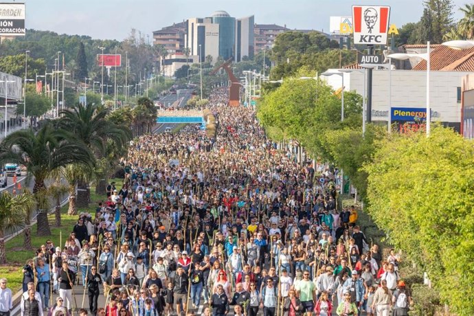 Romería de la Santa Faz, este jueves en Alicante