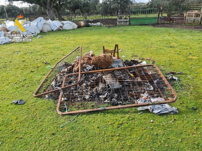 Imagen facilitada por la Guardia Civil con los animales muertos