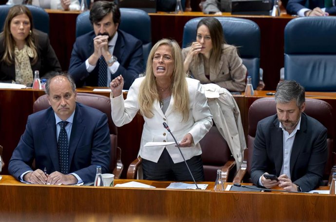 La consejera de Economía, Hacienda y Empleo de la Comunidad de Madrid, Rocío Albert (c), durante el Pleno de la Asamblea de Madrid
