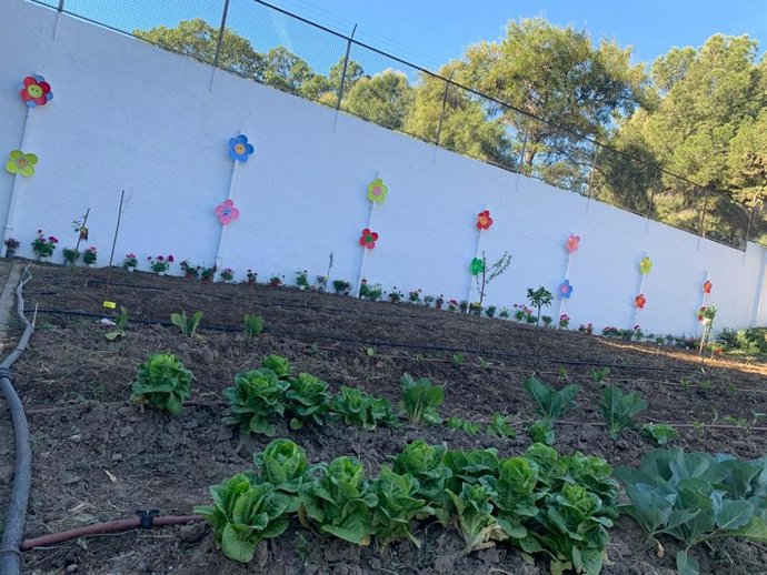El Centro Virgen de la Esperanza de la Diputación programa actividades en el nuevo huerto sensorial para sus usuarios