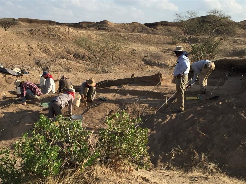 Restos de los primeros humanos modernos en la Depresión del Afar, Etiopía.