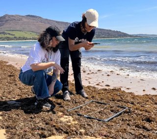 Dos investigadoras tomando muestras de las algas invasoras llegadas a las playas de Tarifa (Cádiz)