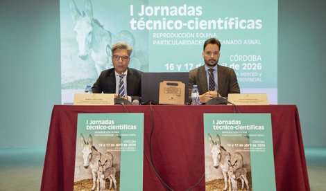 Córdoba única