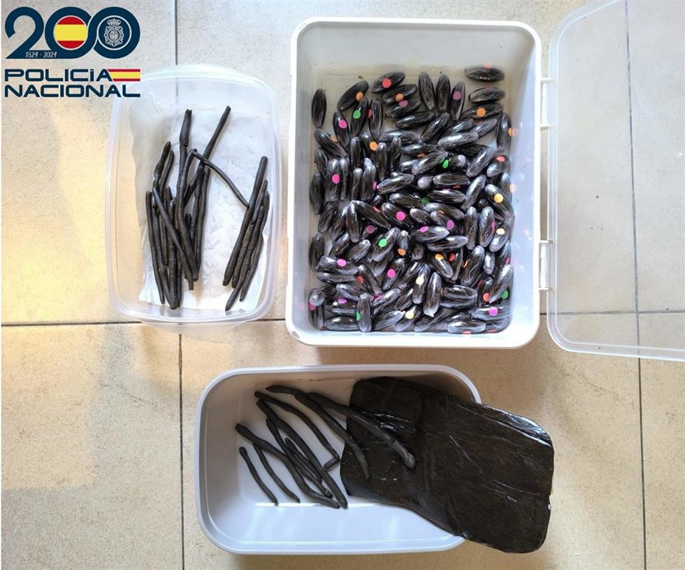 Hachís encontrado en la vivienda de Santa Catalina repartido en dosis de diferente formato.