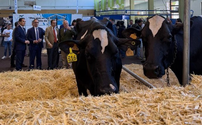 Nieto destaca que la Feria Agroganadera de los Pedroches mejora en cada edición.