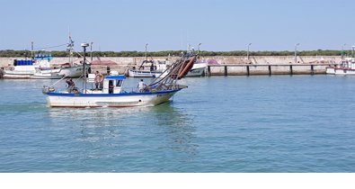 Es Andalucía - Cádiz