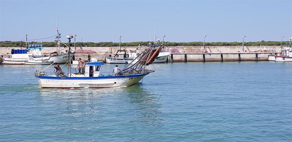 Archivo - Puerto de Bonanza en Sanlúcar de Barrameda.