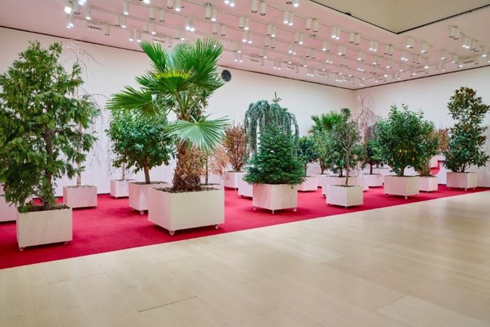 Exposición 'Artes de la Tierra' en el Museo Guggenheim Bilbao