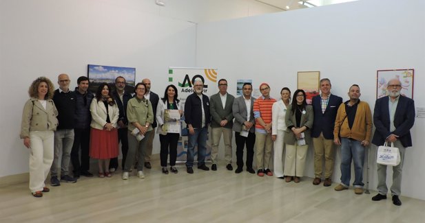 Diputación de Sevilla