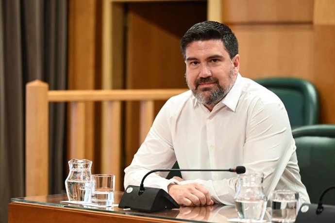 El concejal del grupo municipal del PSOE en el Ayuntamiento de Zaragoza, Horacio Royo,