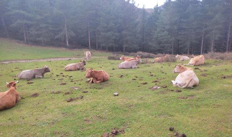 EpAgro - Unión Europea