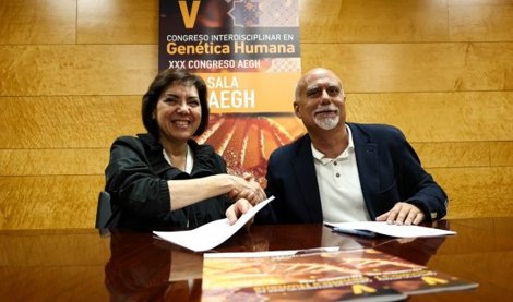 Asistencia