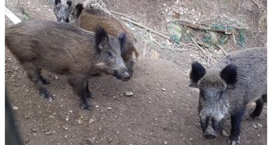 EpAgro - Agricultura