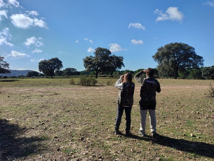 Observatorio Cinegético inicia la campaña anual de censos de tórtola y codorniz mientras se discute la moratoria en UE.