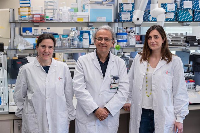Archivo - El equipo del Clínic-Idibaps a cargo del estudio