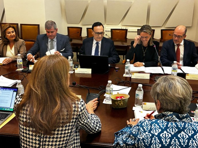 El consejero de Universidad, Investigación e Innovación, José Carlos Gómez Villamandos, durante su visita al Consejo Social de la Universidad de Sevilla (US).