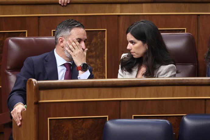 El presidente de Vox, Santiago Abascal, y la portavoz de Vox en el Congreso, Pepa Millán, durante un pleno en el Congreso de los Diputados
