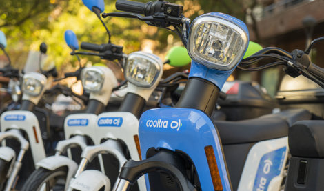 notibrasil sociedade