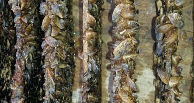 Es  Andalucía - Almería