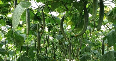 Es Andalucía - Sevilla