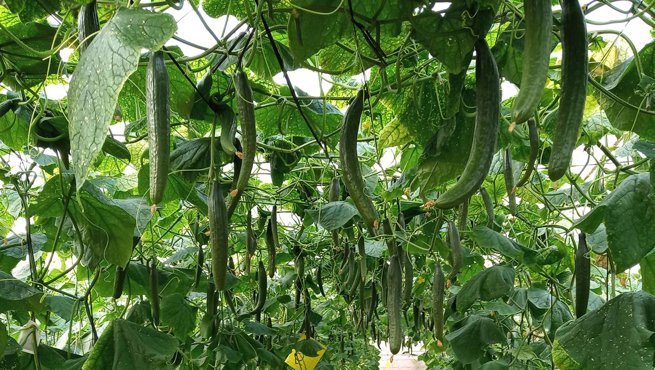 Es Andalucía - Sevilla